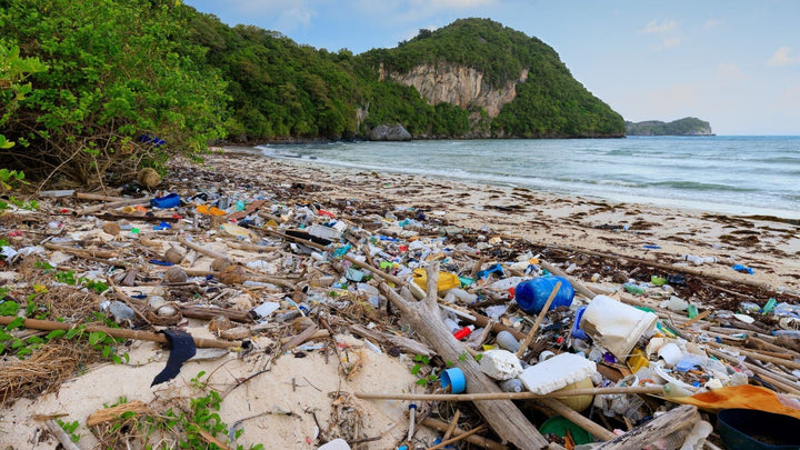 Beach covered in trash
