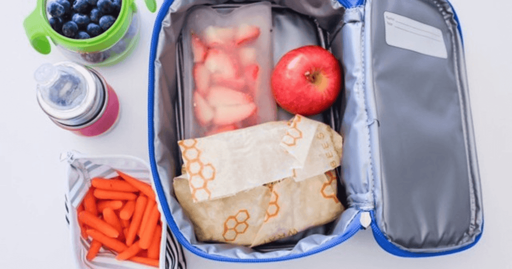 Sustainable School Lunch Solutions