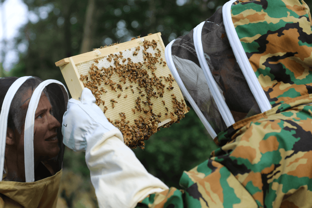 Meet our resident beekeeper