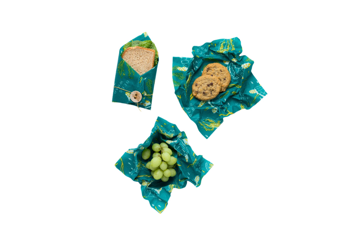 Ocean lunch pack wrapping food