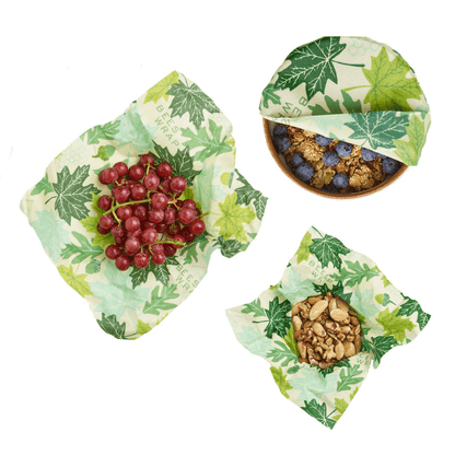 Forest Floor